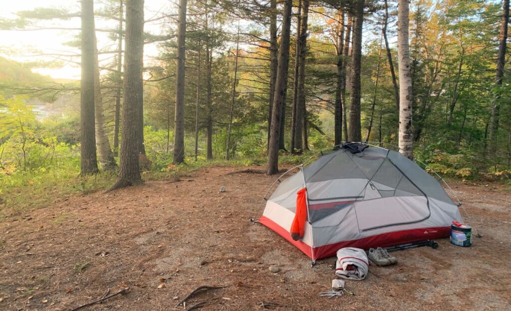 A tent in a clearing with some trees.