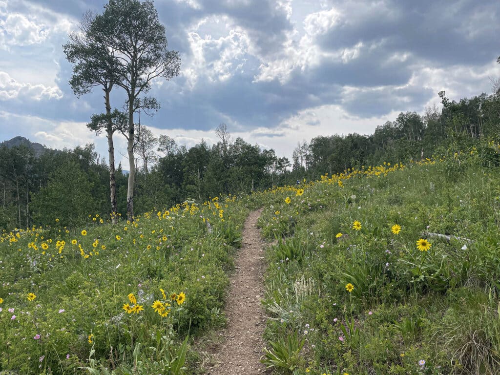 Nature trail