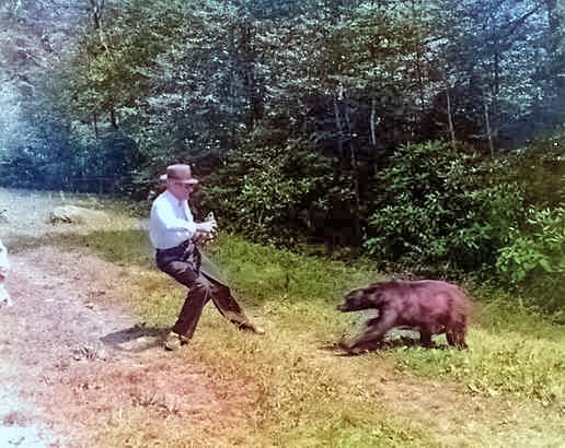 A bear charges and attacks at a man in a white shirt and brown pants