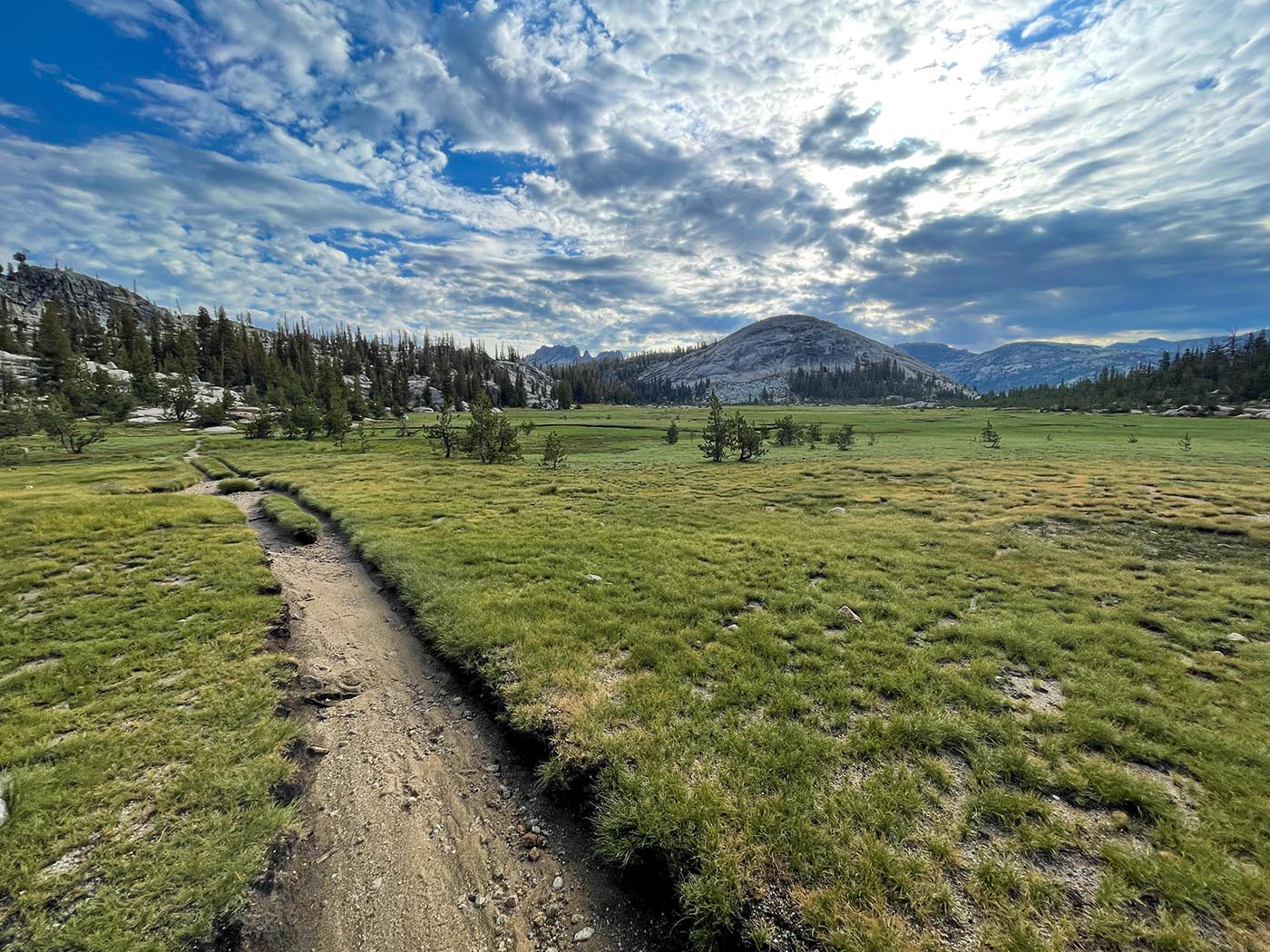 A trail cutting through an alpine meadow in Yosemite national park