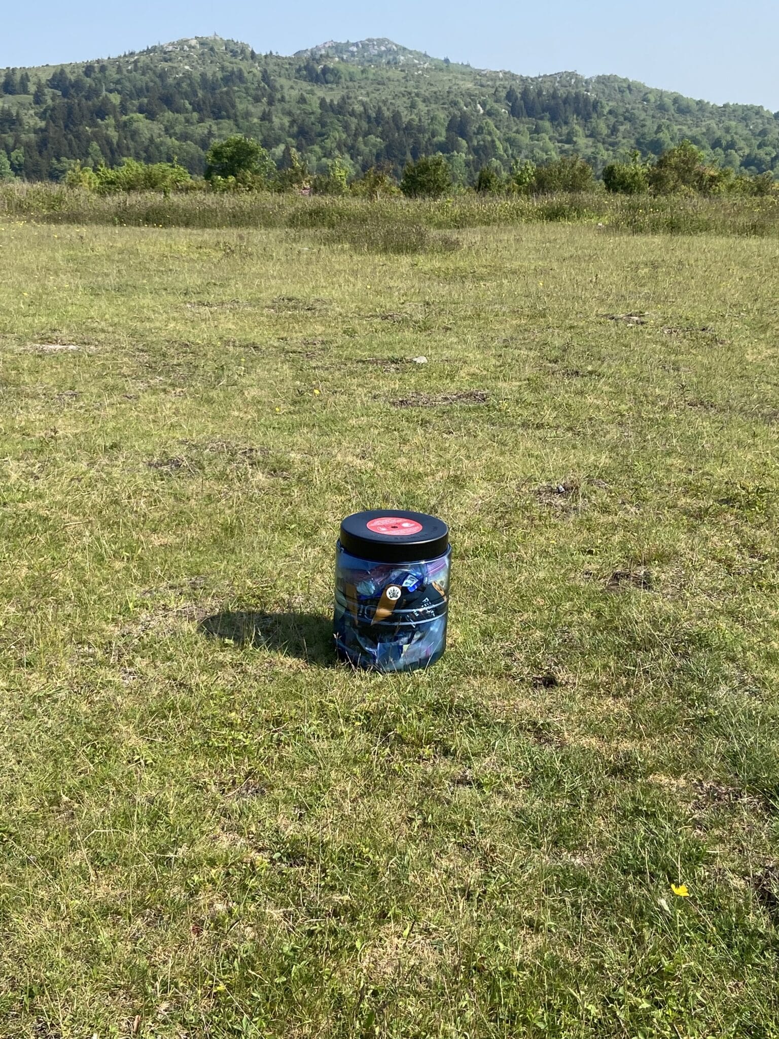 A BearVault BV475 sitting in an open grassy field with boulder-dotted peaks in the background.