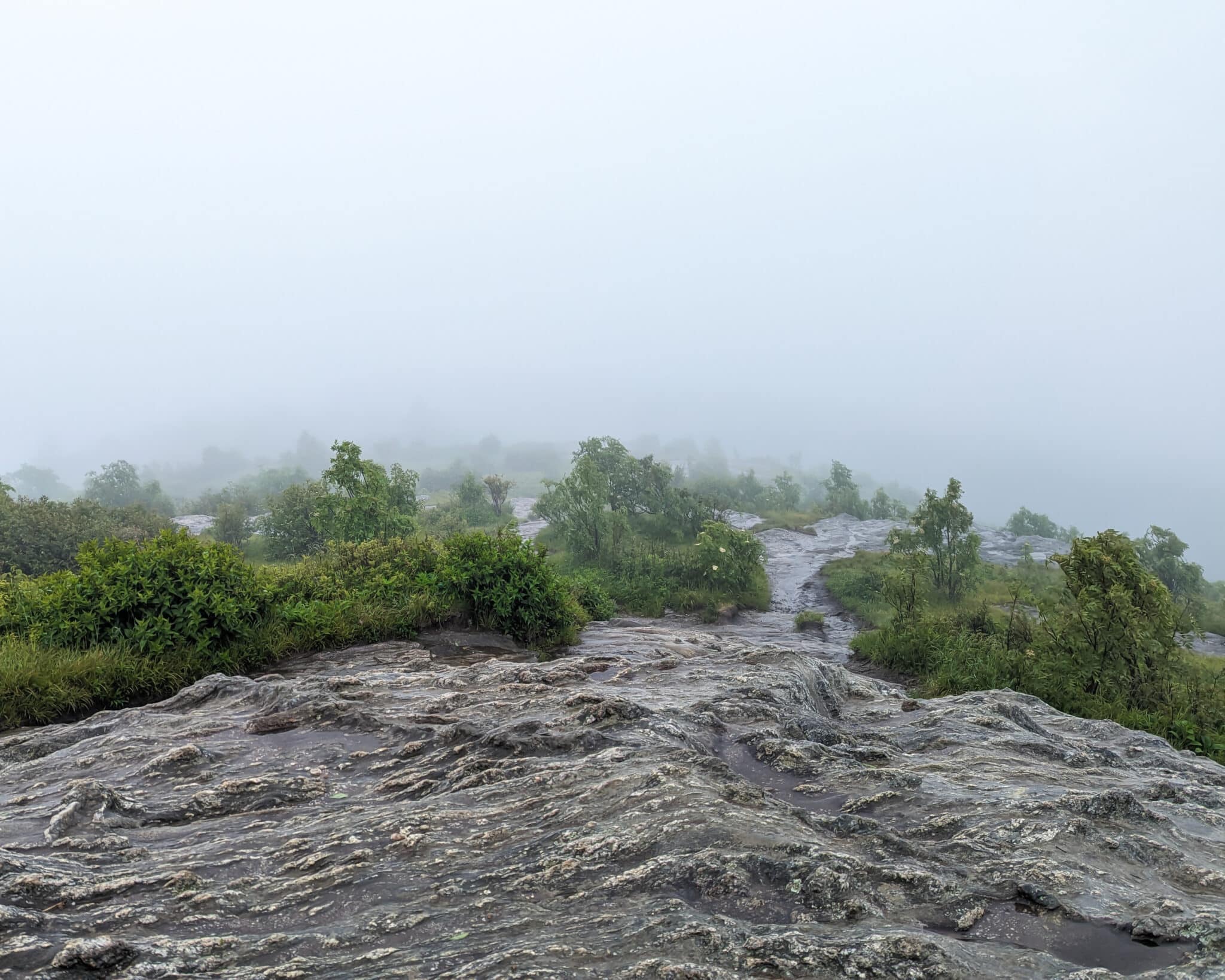 Foggy views down a black rocky knob in North Carolina.