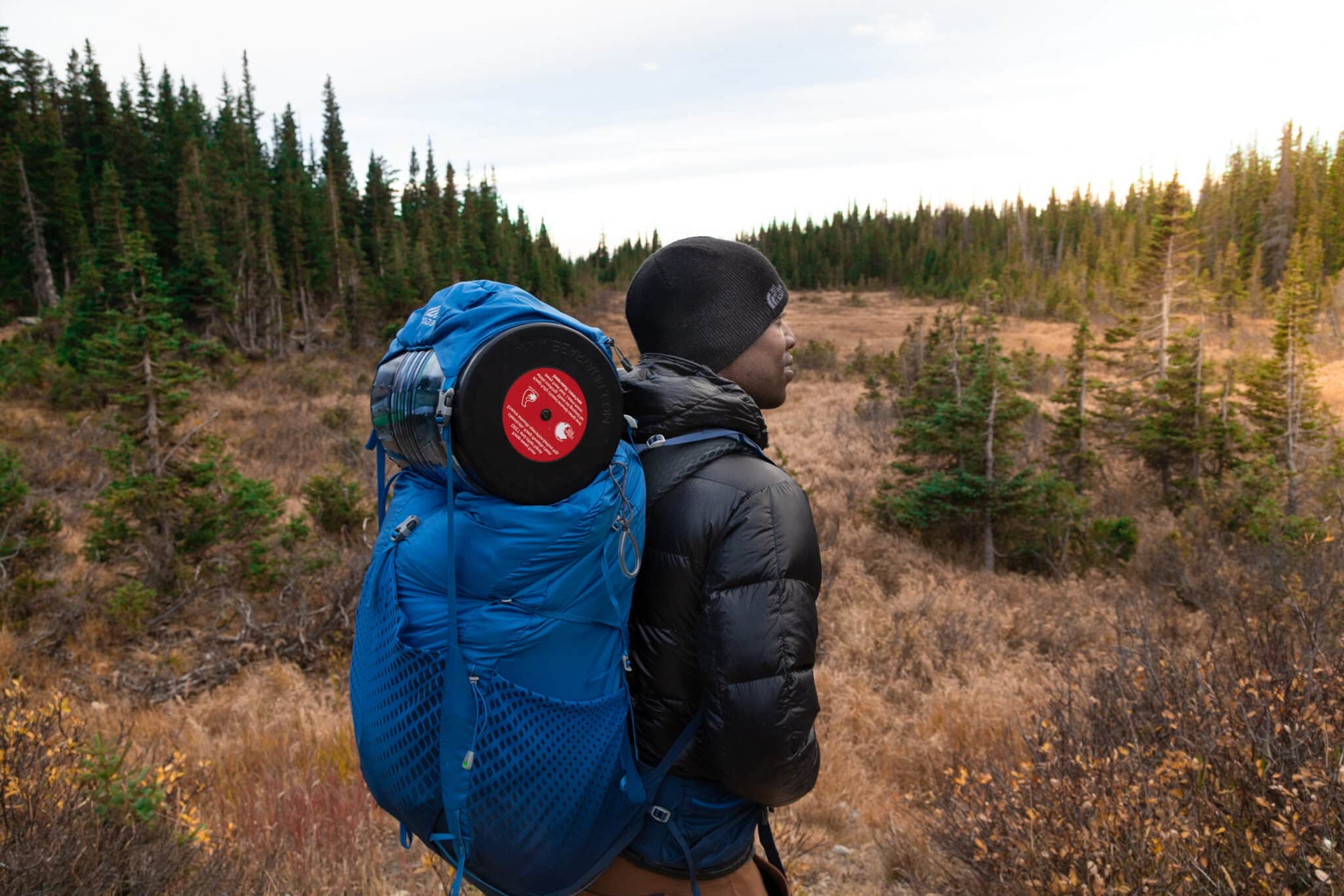 A backpacker looks out over a pine forest on a brisk morning, with a bear canister.