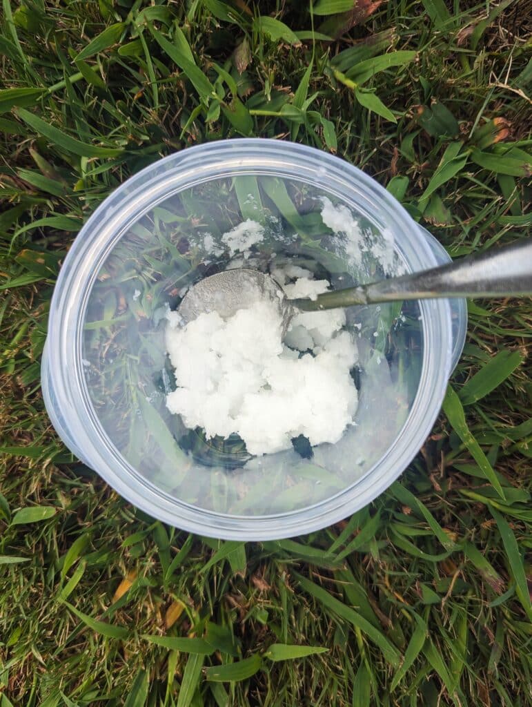 A tupperware sitting on the grass with a spoon and coconut oil.