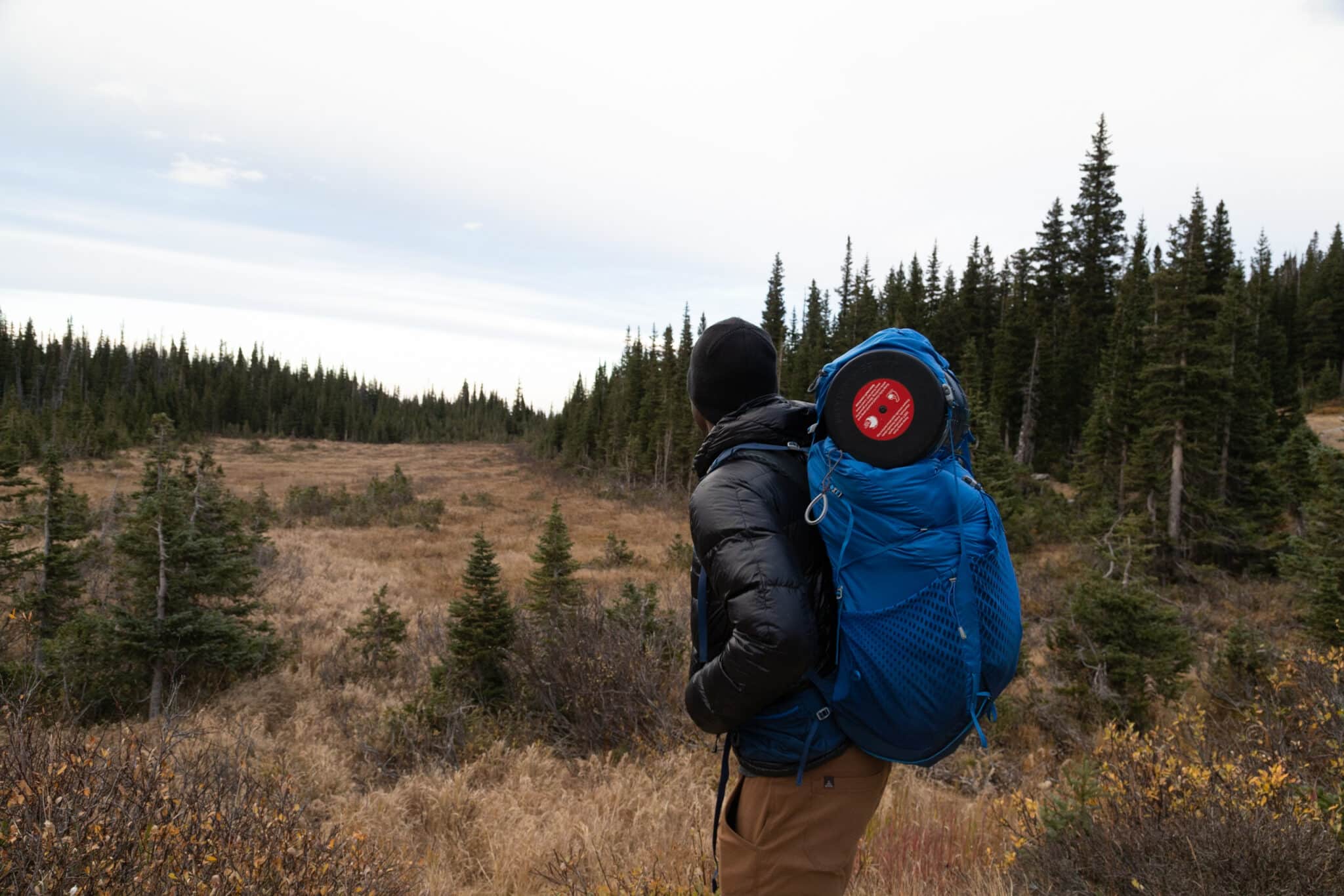 A backpacker carrying a BearVault looks over an alpine meadow in Colorado.