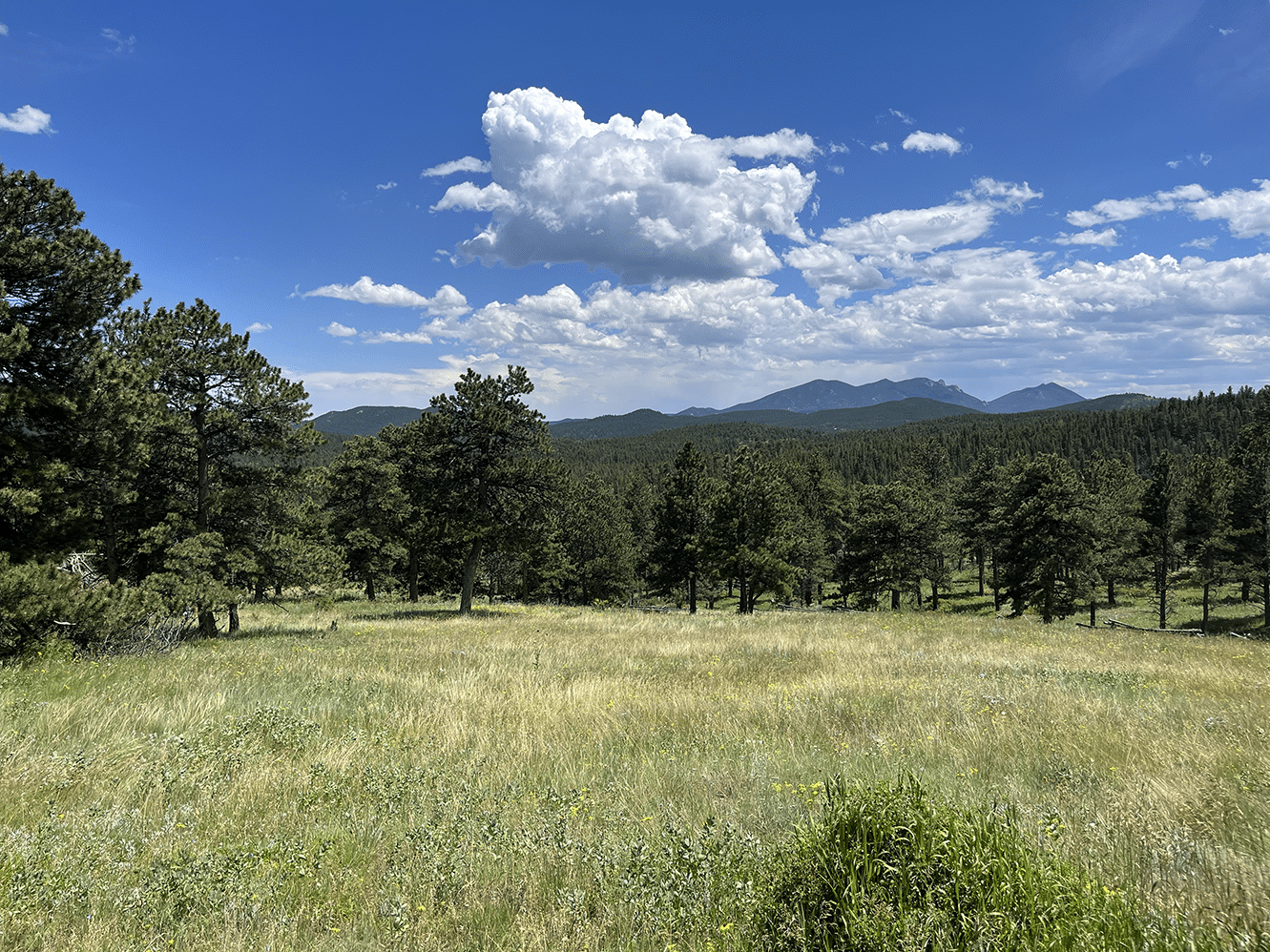 Scenic lanscape of a colorado meadow.