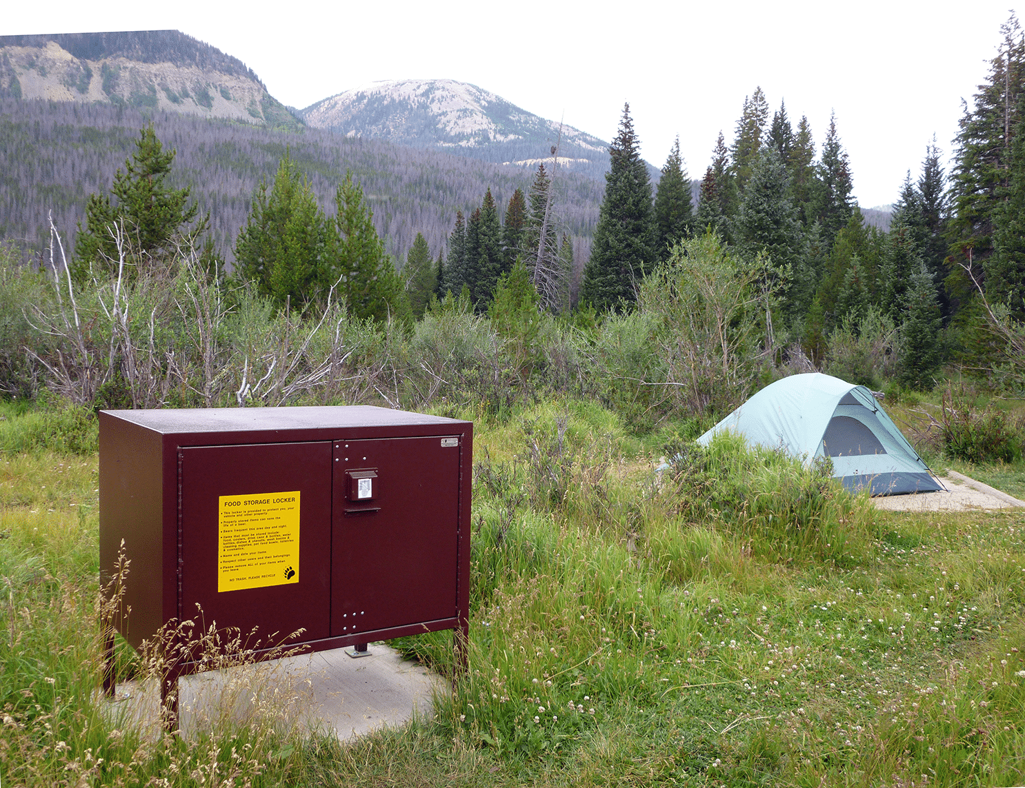 Bear box at Timber creek in RMNP.