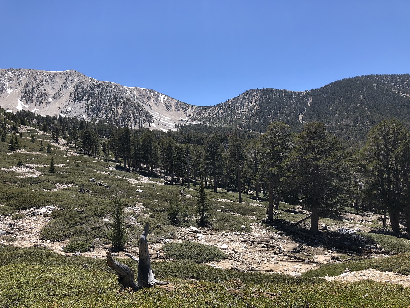 The view over Mt. San Gorgonio on the hike up to the summit.