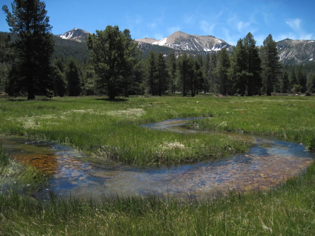 A meadow in the lake Tahoe Basin area.