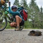A bikepacker stops to look at a tortoise.