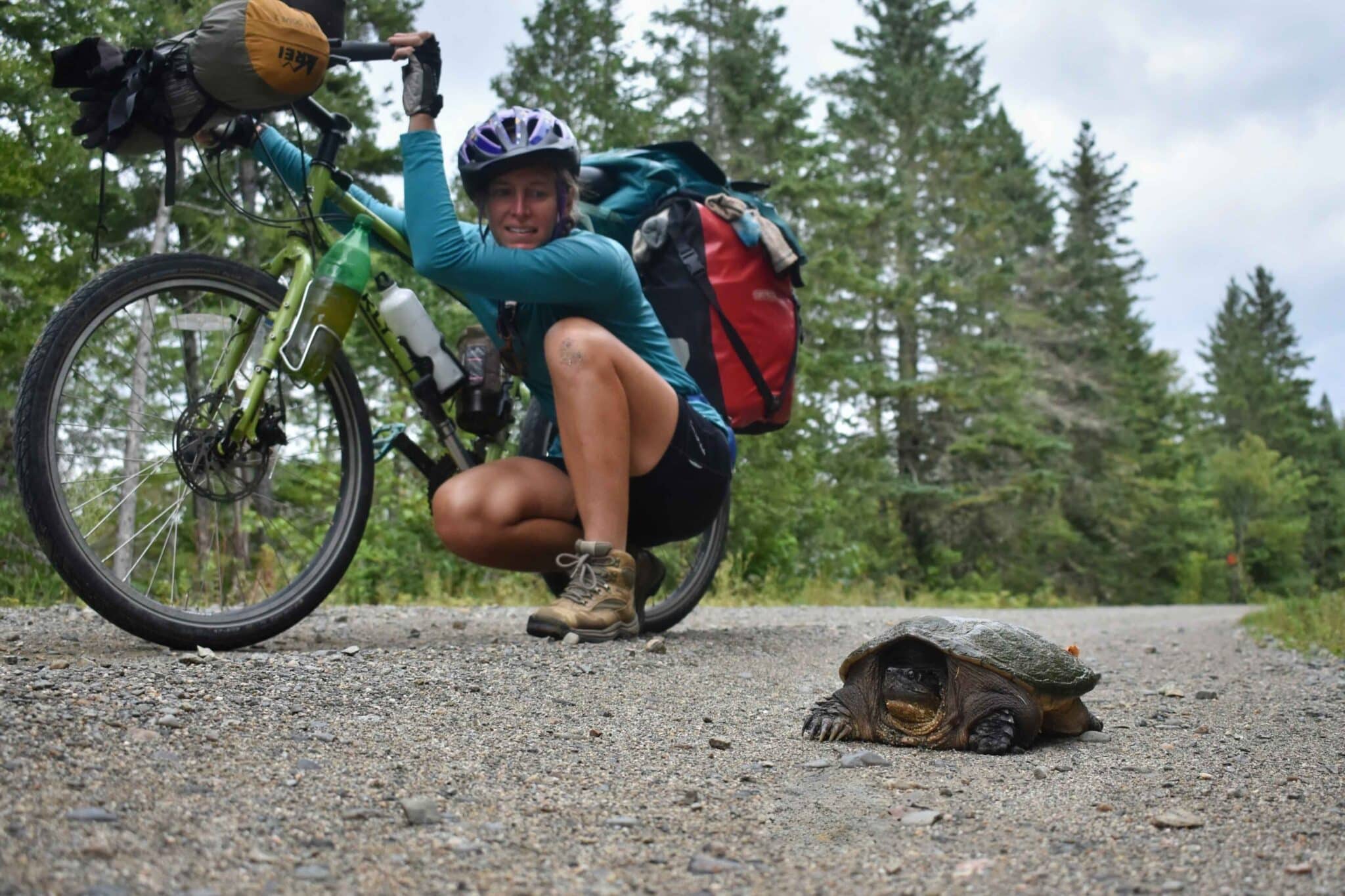A bikepacker stops to look at a tortoise.