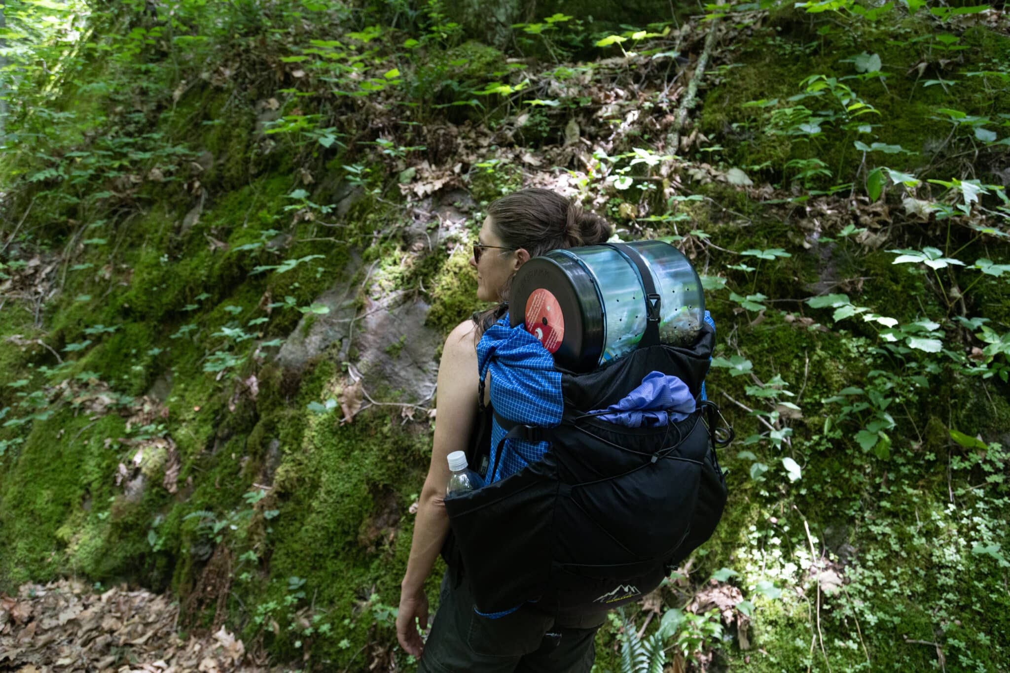 A woman walks down a trail with a BV500 bear canister strapepd on top of a ULA pack