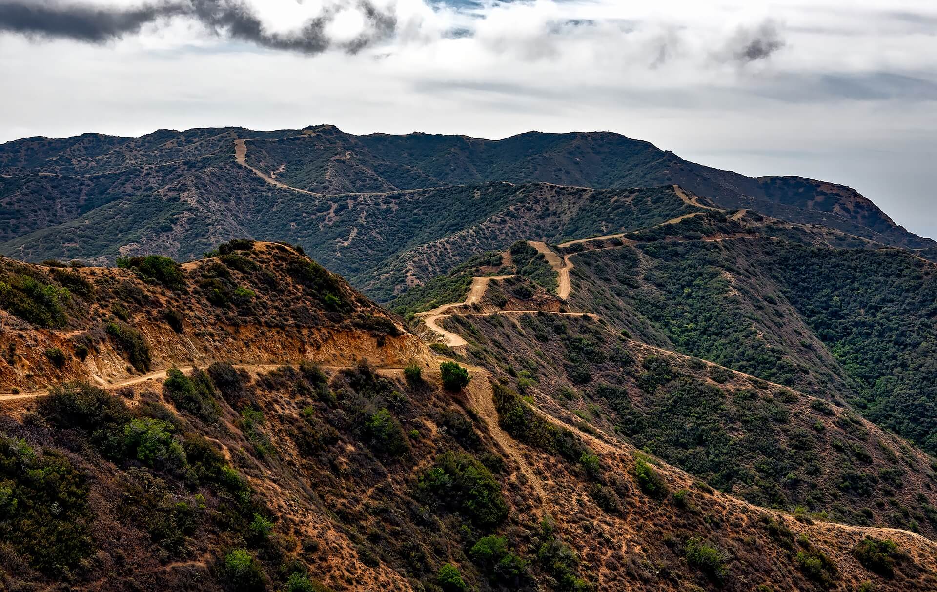 Leer más sobre el artículo. The Trans-Catalina Trail: Adventures With Anjelica Edition